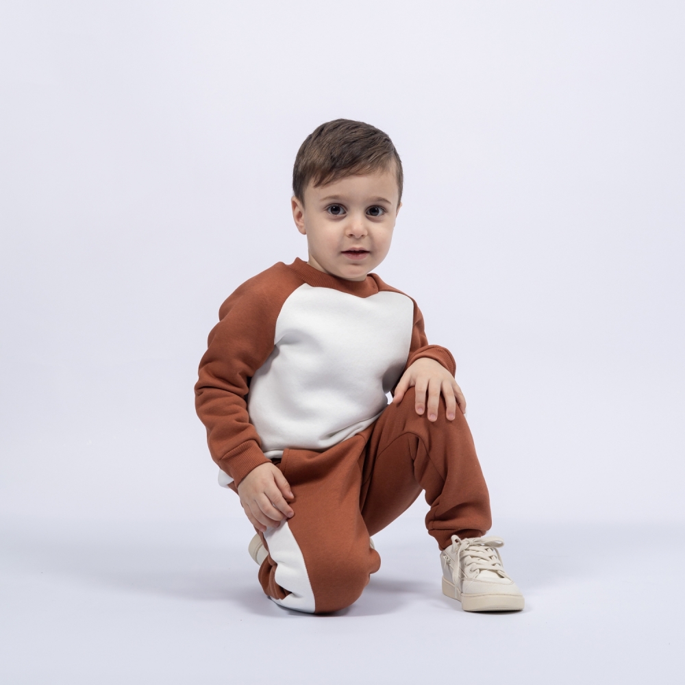 314-Ш. Свитшот + Штаны, шоколад, хлопок 65%, 35% ПЭ, 3-х нитка (начес) 98,104,110,116